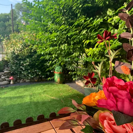 Olympus Cozy Апартаменты *