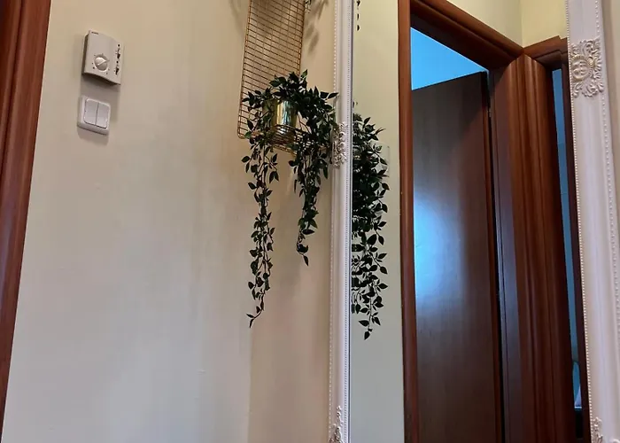 Apartament Olympus Cozy *